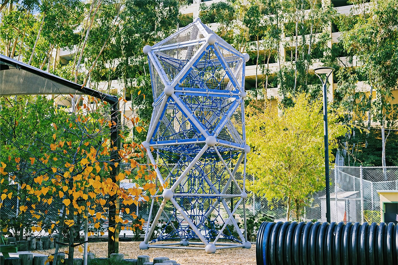 Climbing structures abound