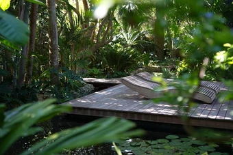 Tranquility 1
