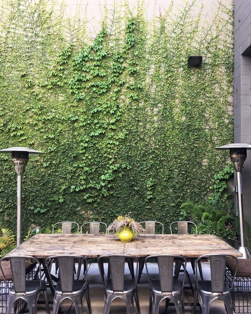 Jax Tasting Room — The wall is alive
