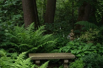 Tranquility 3