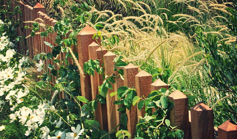 A sculptural timber fence softened by vines at a Manhattan Beach garden