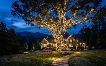 Wrapped Trees