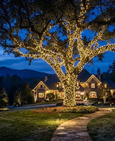 Christmas lights