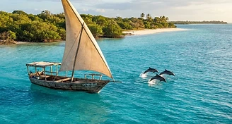Safari Blue Dolphin & Sandbank Tour