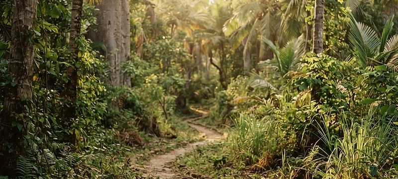 Guided tours in Kilifi with local experts