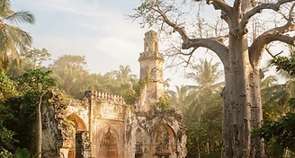 Mnarani Ruins & Baobab Heritage Walk