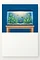 Aquarium Fishkeeping for Beginners