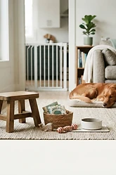 Paws and Toddlers: Managing Household Safety and Dog Behaviour