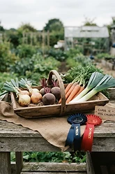 Allotment Show Growing: Competitive Vegetable Tactics