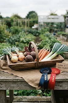 Allotment Show Growing: Competitive Vegetable Tactics