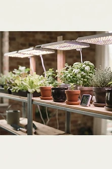 Bright Harvest: Indoor Gardening with LED Grow Lights