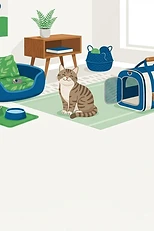 First-Time Cat Owner