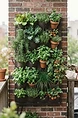 Vertical Gardening for Small Spaces
