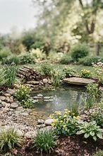 The Weekend Gardener's Guide to US Wildlife Ponds