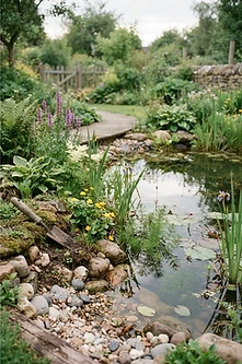 The Weekend Gardener's Guide to Suburban Wildlife Ponds