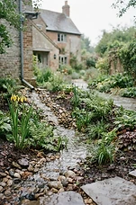 Rain Gardens and Drainage Solutions