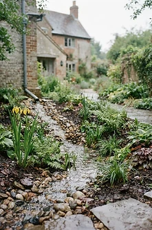 Rain Gardens and Drainage Solutions