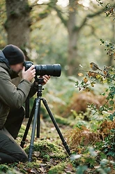 British Wildlife Photography: The Basics