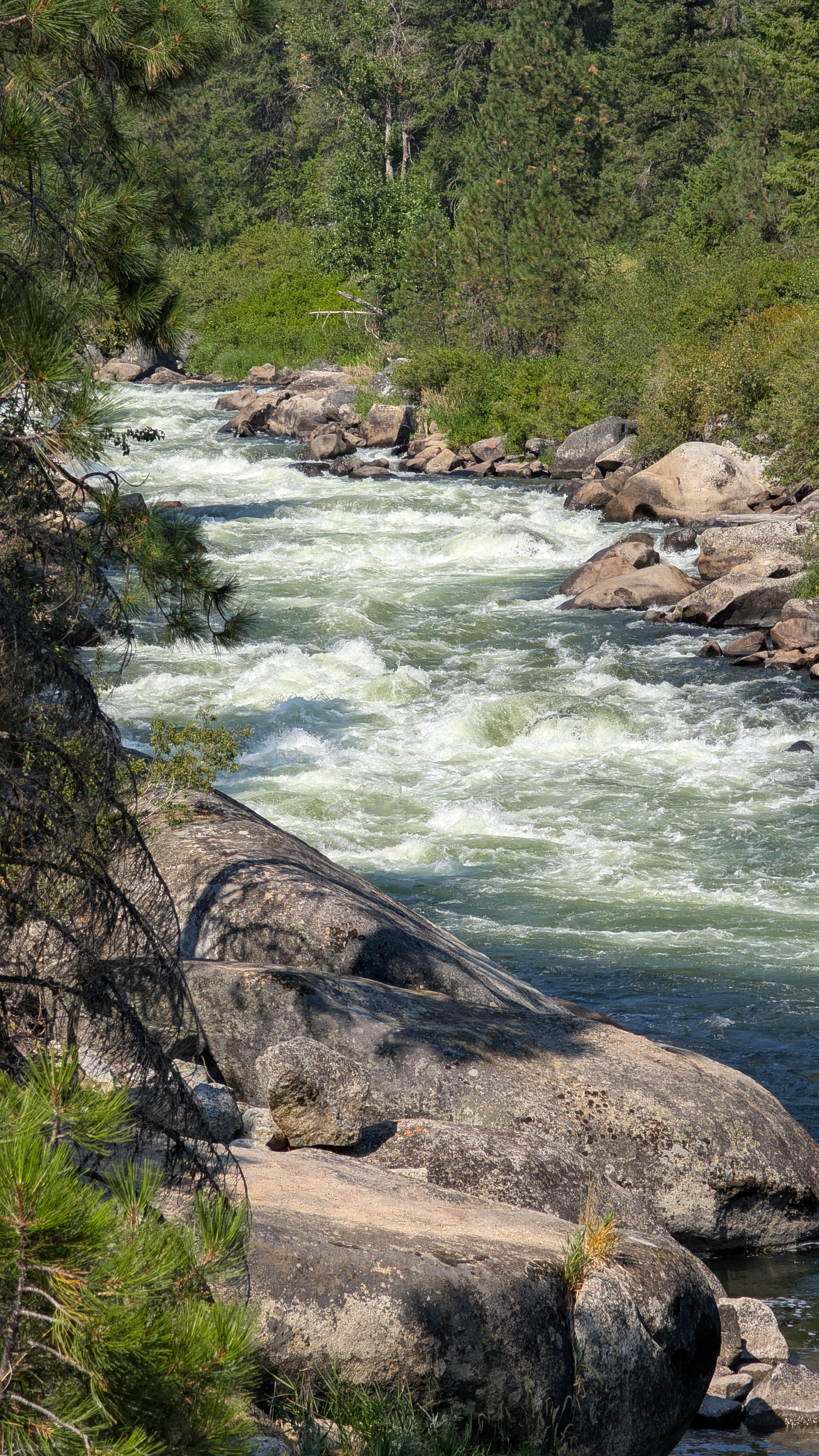 Salmon River 5