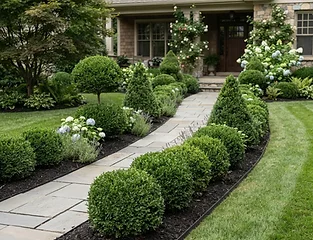 Professional shrub trimming and pruning service