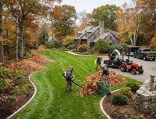 Fall leaf cleanup for New England yard