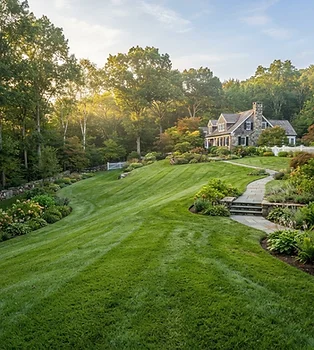 Lawn Installation, Sod & Seeding project photo 5