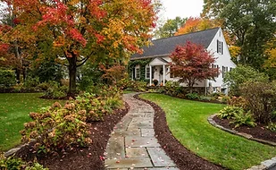 Illustration for A practical fall checklist for your Massachusetts landscape