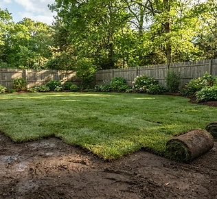 Lawn Installation, Sod & Seeding design inspiration in a New England yard