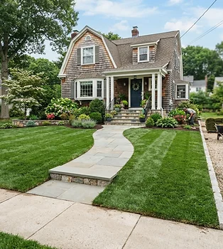 Lawn Installation, Sod & Seeding project photo 2