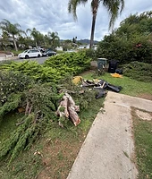 Debris before — Dump Day Junk Removal