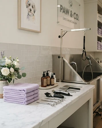 Clean Tampa dog grooming station