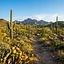 Phoenix & Scottsdale