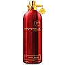 Montale Aoud Shiny bottle