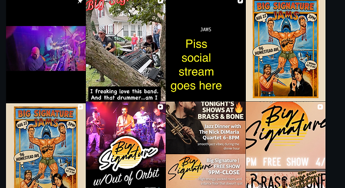 Placeholder for the future Big Signature social media feed
