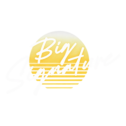 Big Signature band logo