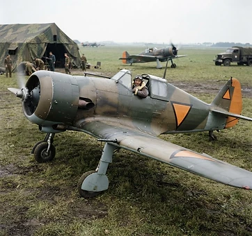 The Fokker D.XXI of Netherlands