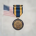 Navy Distinguished Service Medal