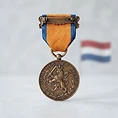 Bronze Lion