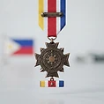 Anti-Dissidence Campaign Medal