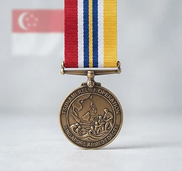 Tsunami Relief Operation Medal, Campaign medal, Singapore medal