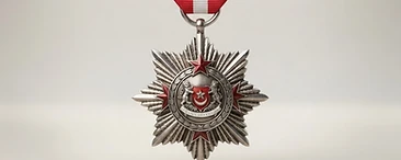 Bintang Temasek, Valor decoration, Singapore medal