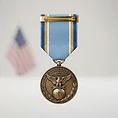 Air Force Distinguished Service Medal