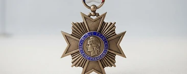 Medal of Merit for Black Africa, Merit decoration, Vichy France medal