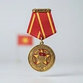 Glorious Fighter Medal