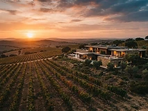 Best Wine & Spa Resorts in Alentejo for Wine Lovers