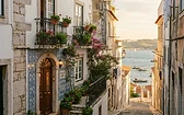 Memmo Alfama