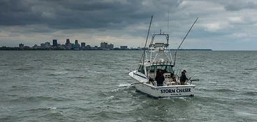 Buffalo Harbor Sport Fishing