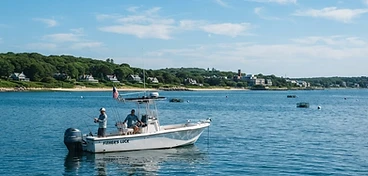 Cape Cod Light Tackle