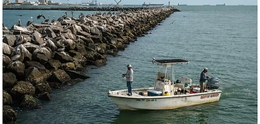 Captain Alan — Galveston Fishing Guides