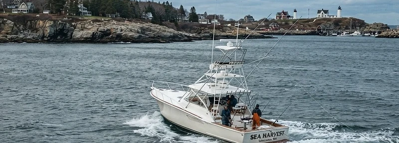 Gloucester Bluefin Charters
